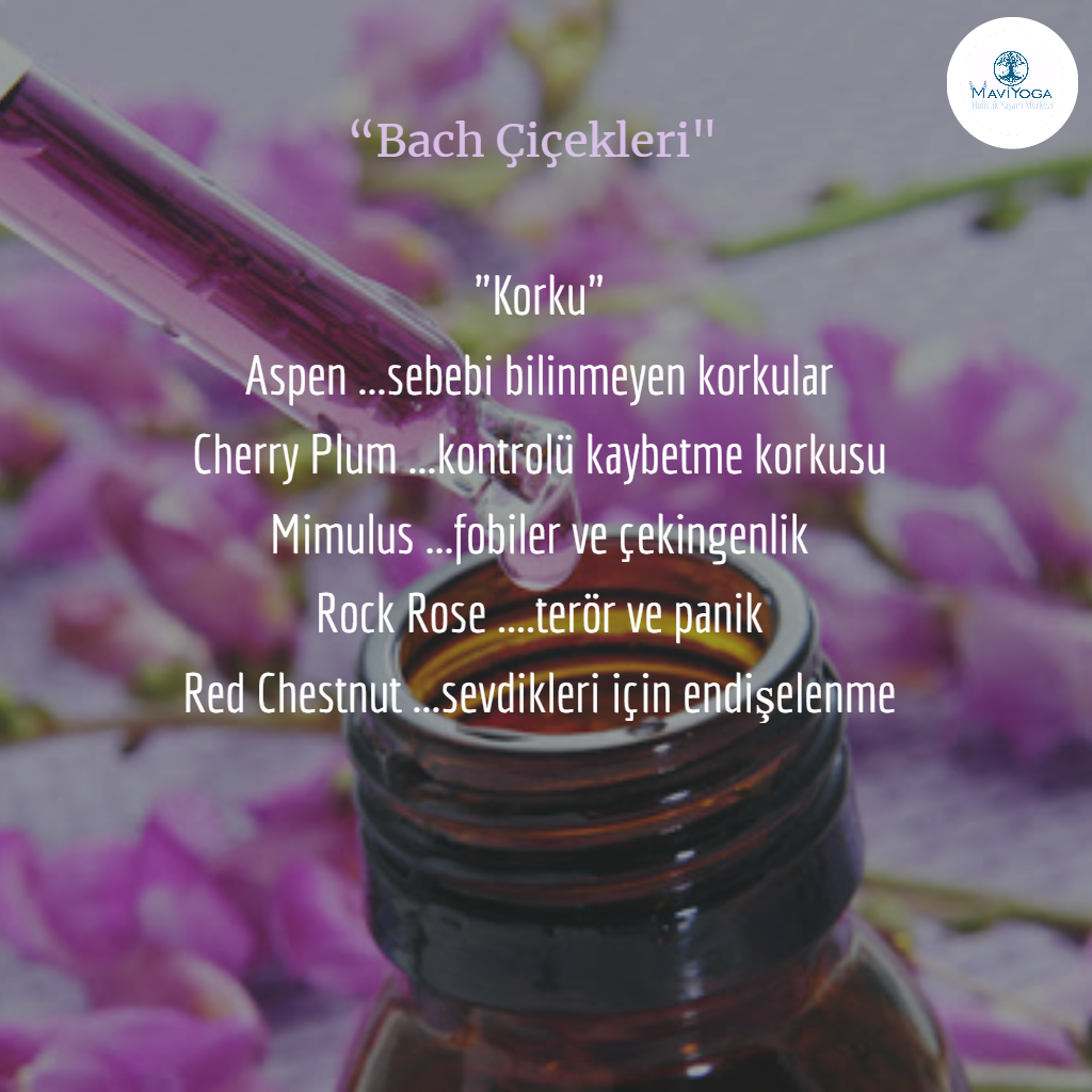 Bach �i�ekleri Bireysel Seans Mavi Yoga Bireysel Seanslar Aysun Ak�ali
