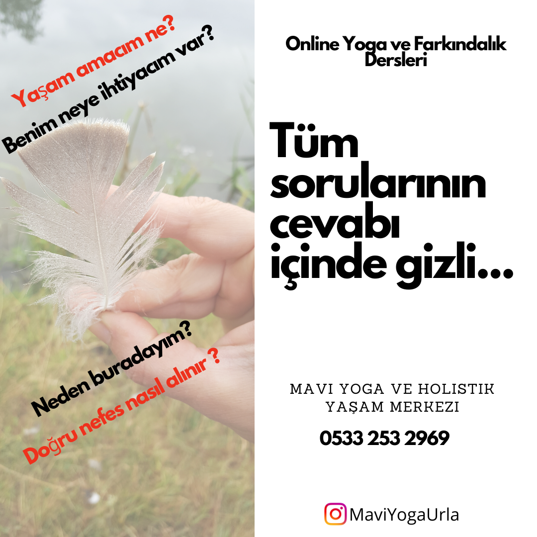 Mavi Yoga Urla Yoga Hakk�nda