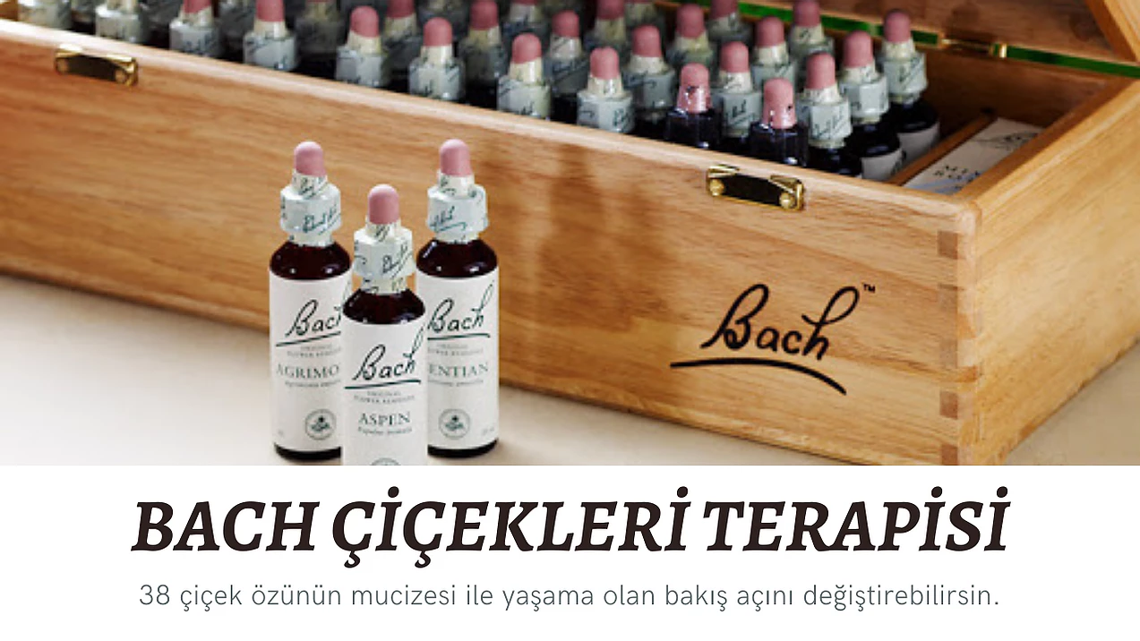 Urla Yoga, Urlada Yoga, Mavi Yoga Urla, Urla Yoga, mavi Yoga Merkezi, yoga st�dyo, Yoga Hocas� Aysun Ak�al�, Yoga ��retmeni Aysun Ak�al�, Yoga Nedir, Yoga Nas�l Yap�l�r, �zmir Mavi Yoga, �e�me Yoga, Ala�at� Yoga, zeytinalan� Yoga, G�zelbah�e Yoga, Narl�dere Yoga, Sahilevleri Yoga, Yoga Dersi, Yoga Nefes, Nefes Terapi, Osteopati, Manuel Terapi, Kas Eklem A�r�s�, Vinyasa Yoga, Yin Yoga, Hatha Yoga, Kundalini Yoga, Yoga Meditasyon, Yoga �le Huzur, Spirit�el Yoga, Ruh Beden Zihin Terapisi, Yoga Kursu, Yoga Dersi, �ocuk Yogas�